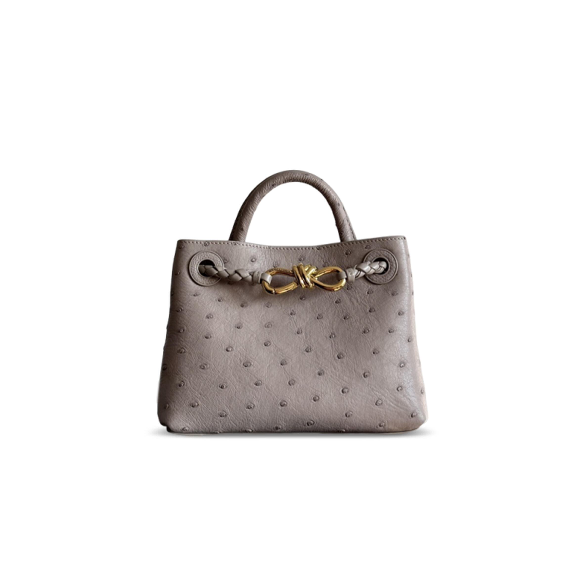 BOTTEGA VENETA MINI ANDIAMO OSTRICH LEATHER 805232 (20.5*15*7cm)